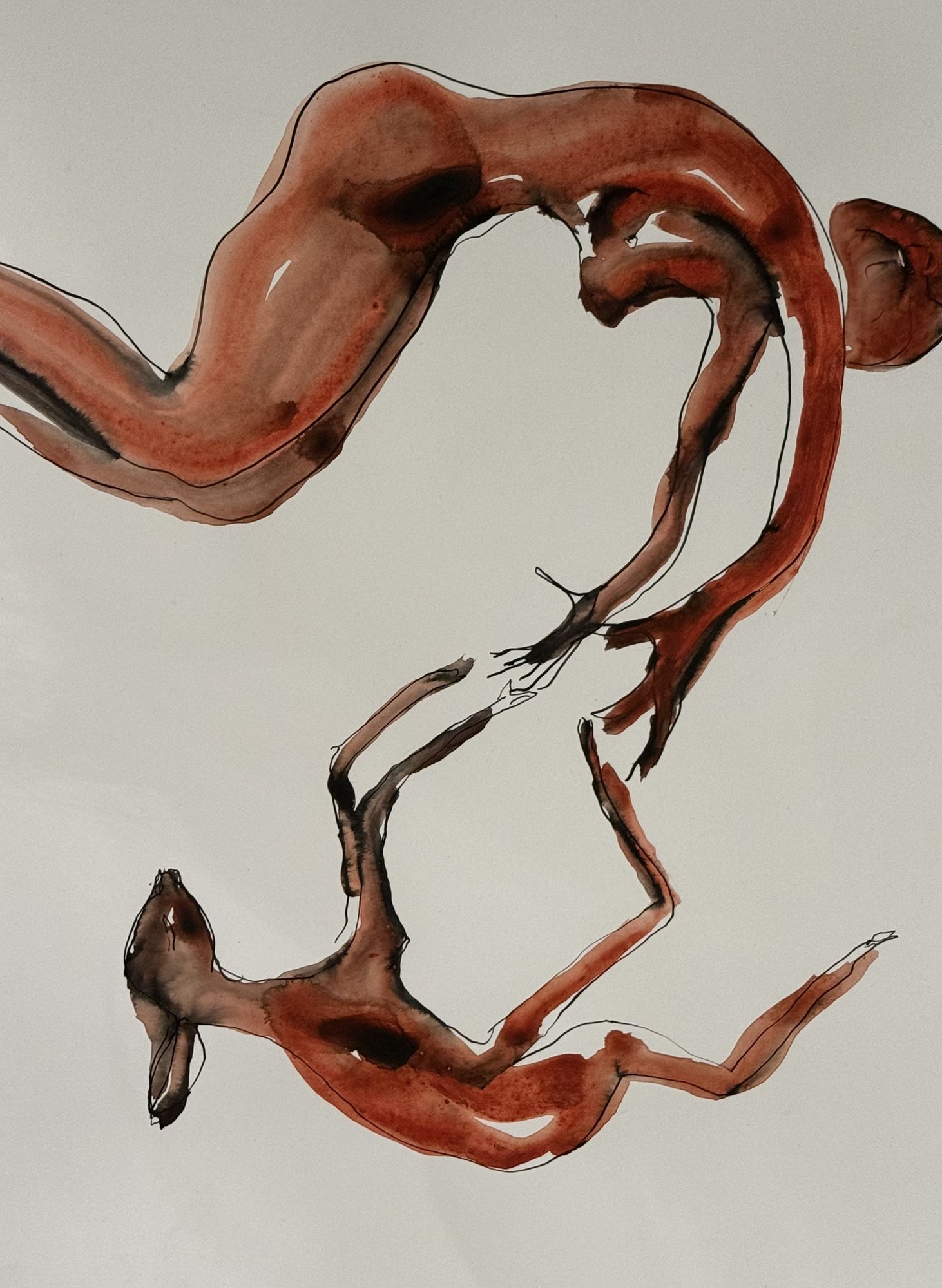 Bambi BRD — Marion Heine