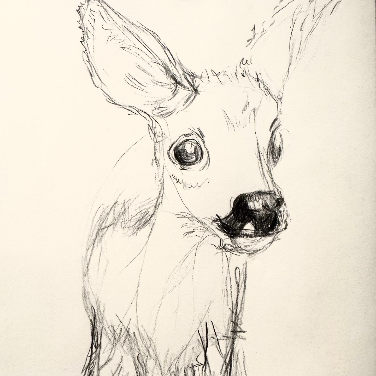 Drawings