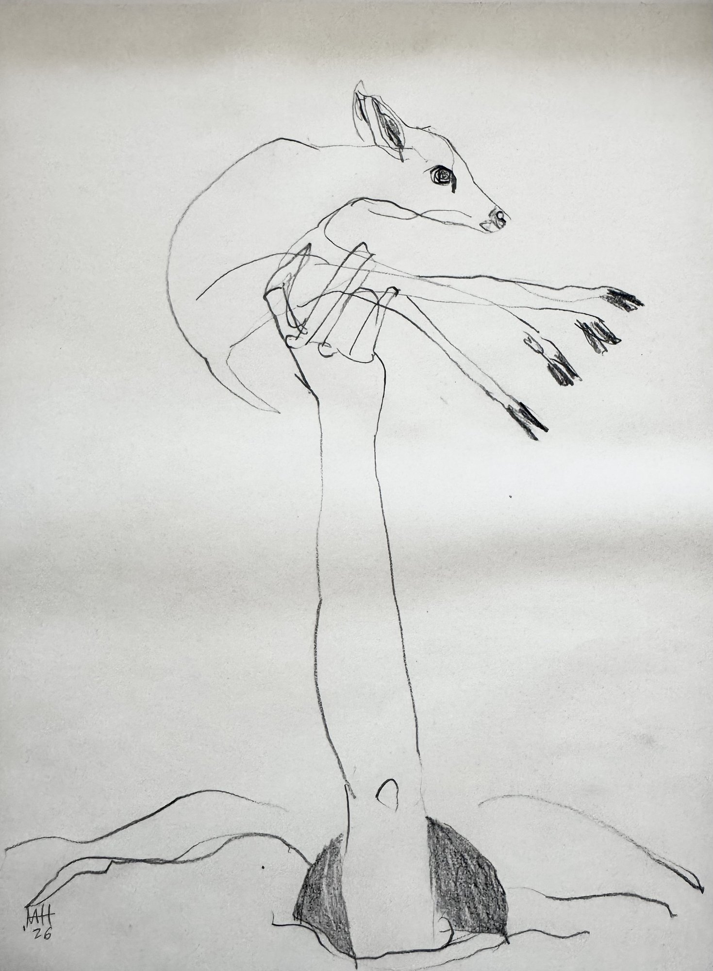 Drawing — Marion Heine