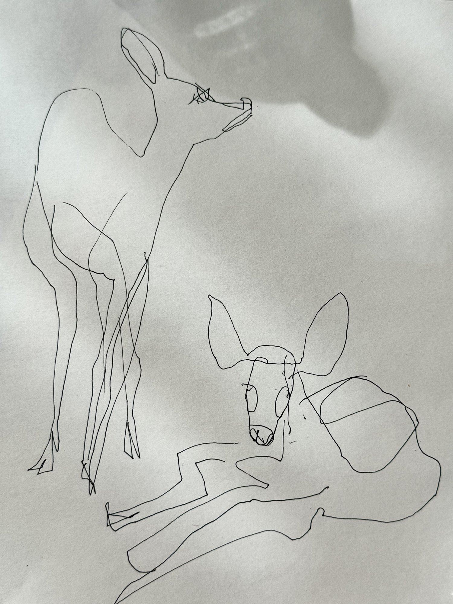 Drawing — Marion Heine