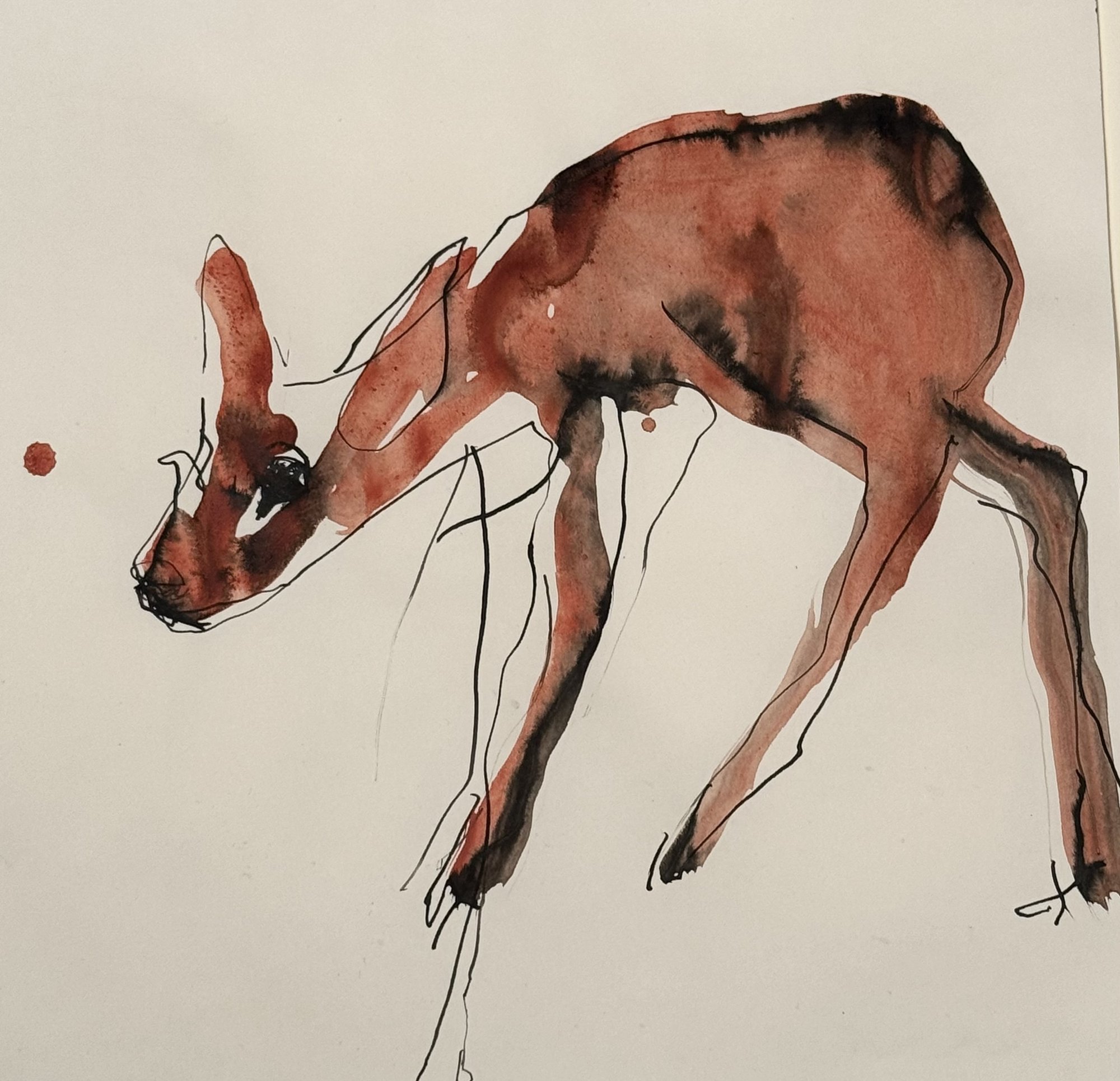 Drawing — Marion Heine