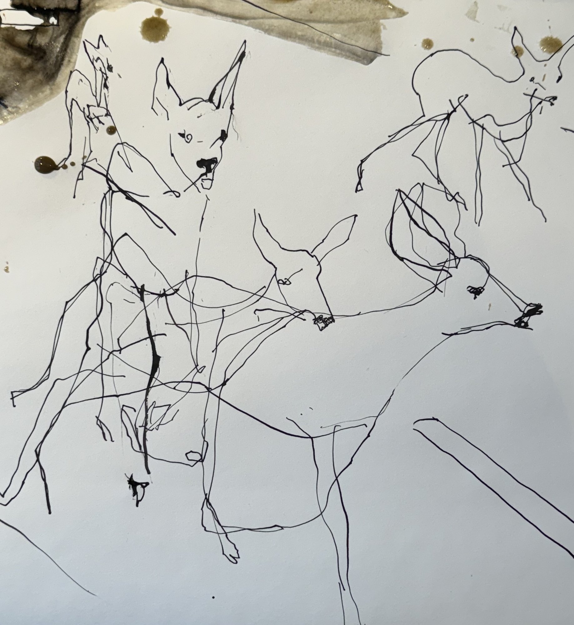 Drawing — Marion Heine