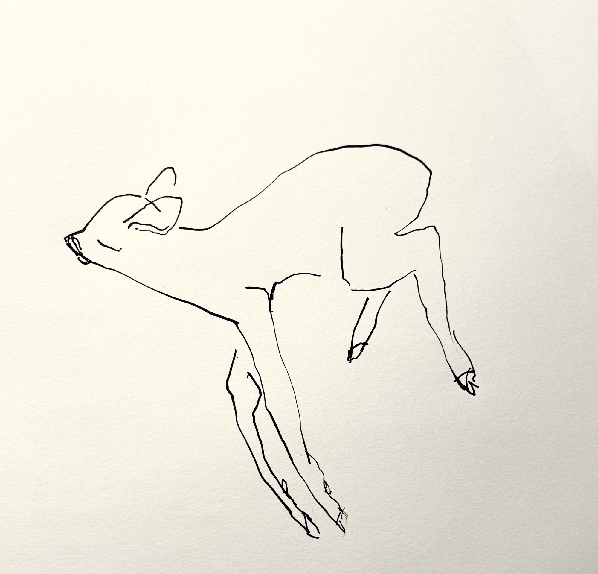 Drawing — Marion Heine