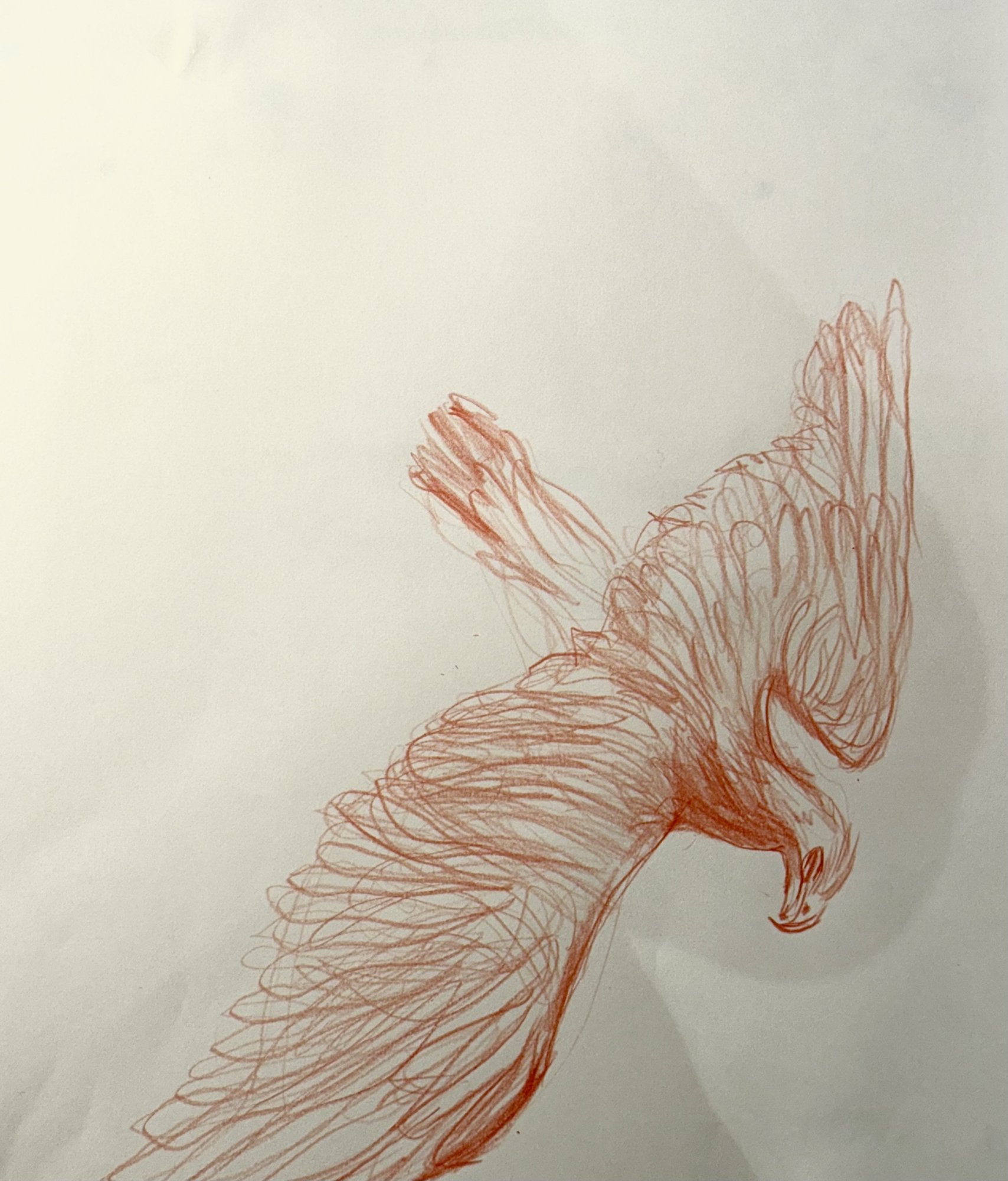 Drawing — Marion Heine