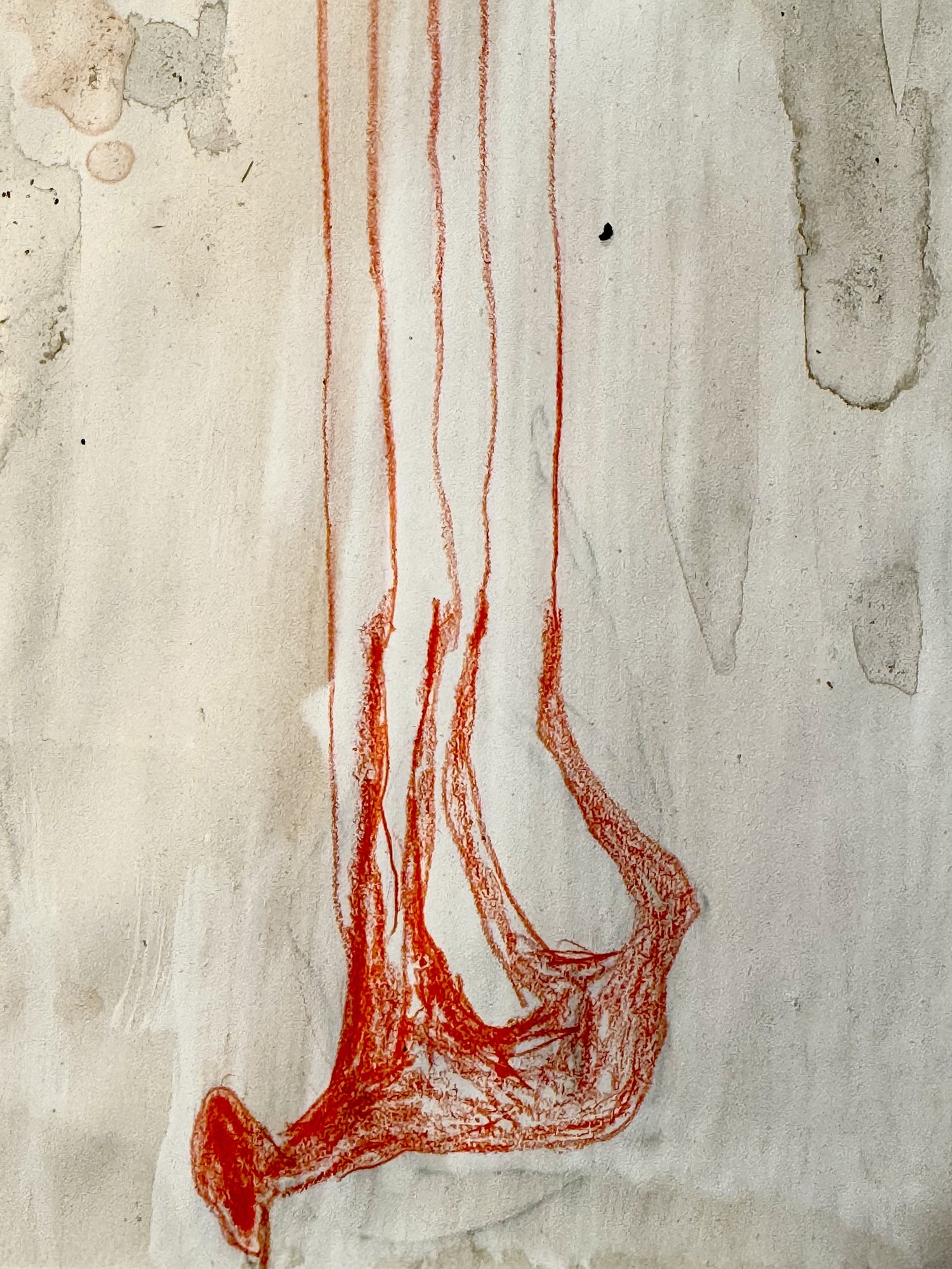 Drawing — Marion Heine
