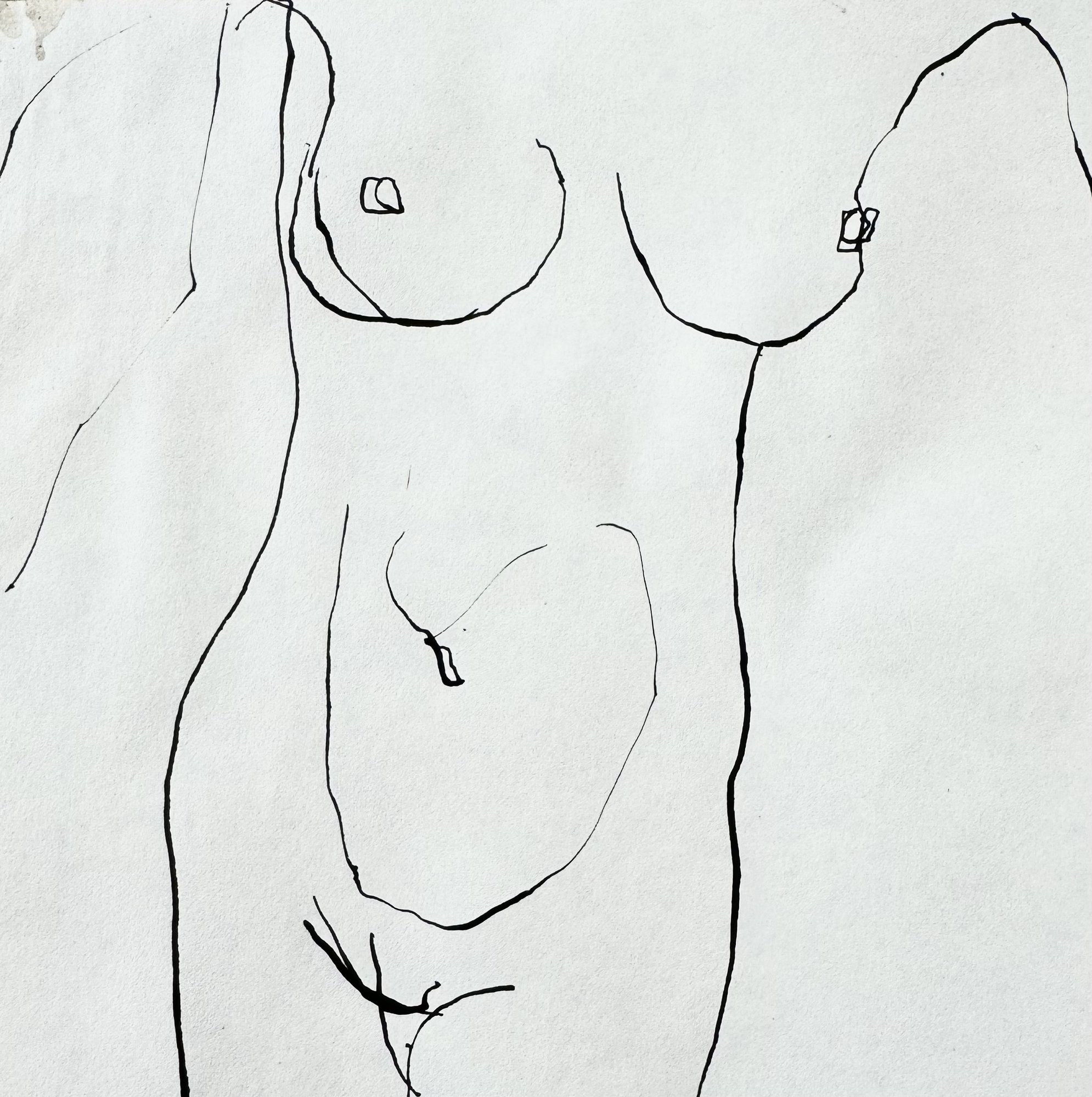 Drawing — Marion Heine