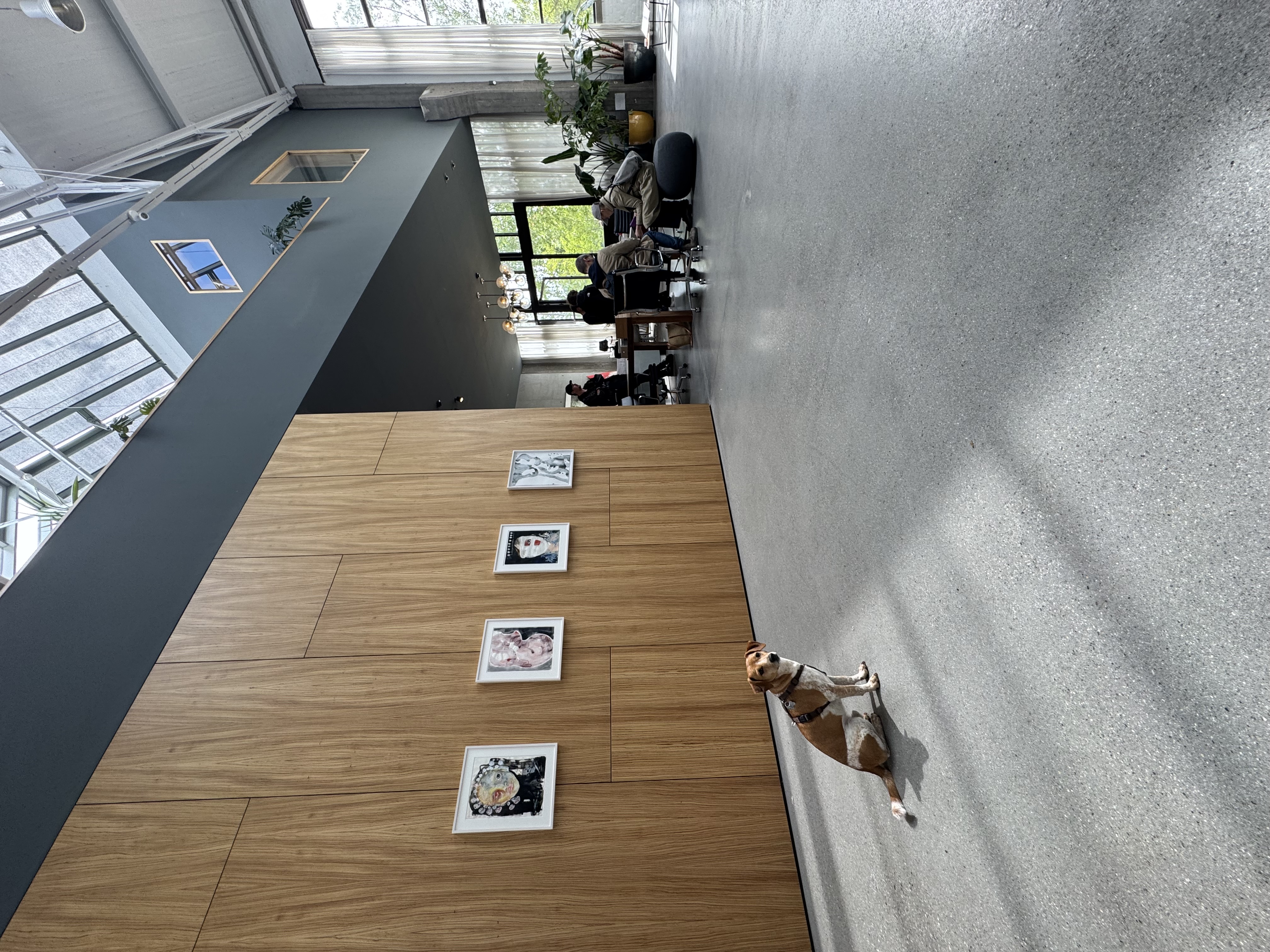 Gallery Weekend Berlin 2025, Spielfeld Berlin