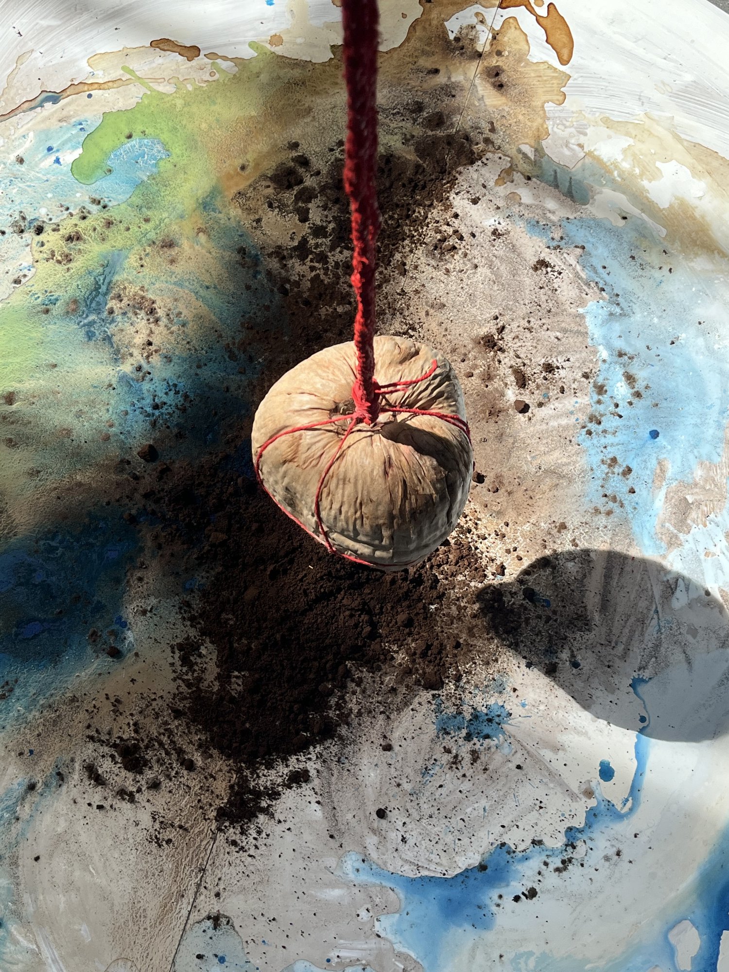 Hawaii, Gallery Weekend Berlin 2024 — Flying Hana Coconut