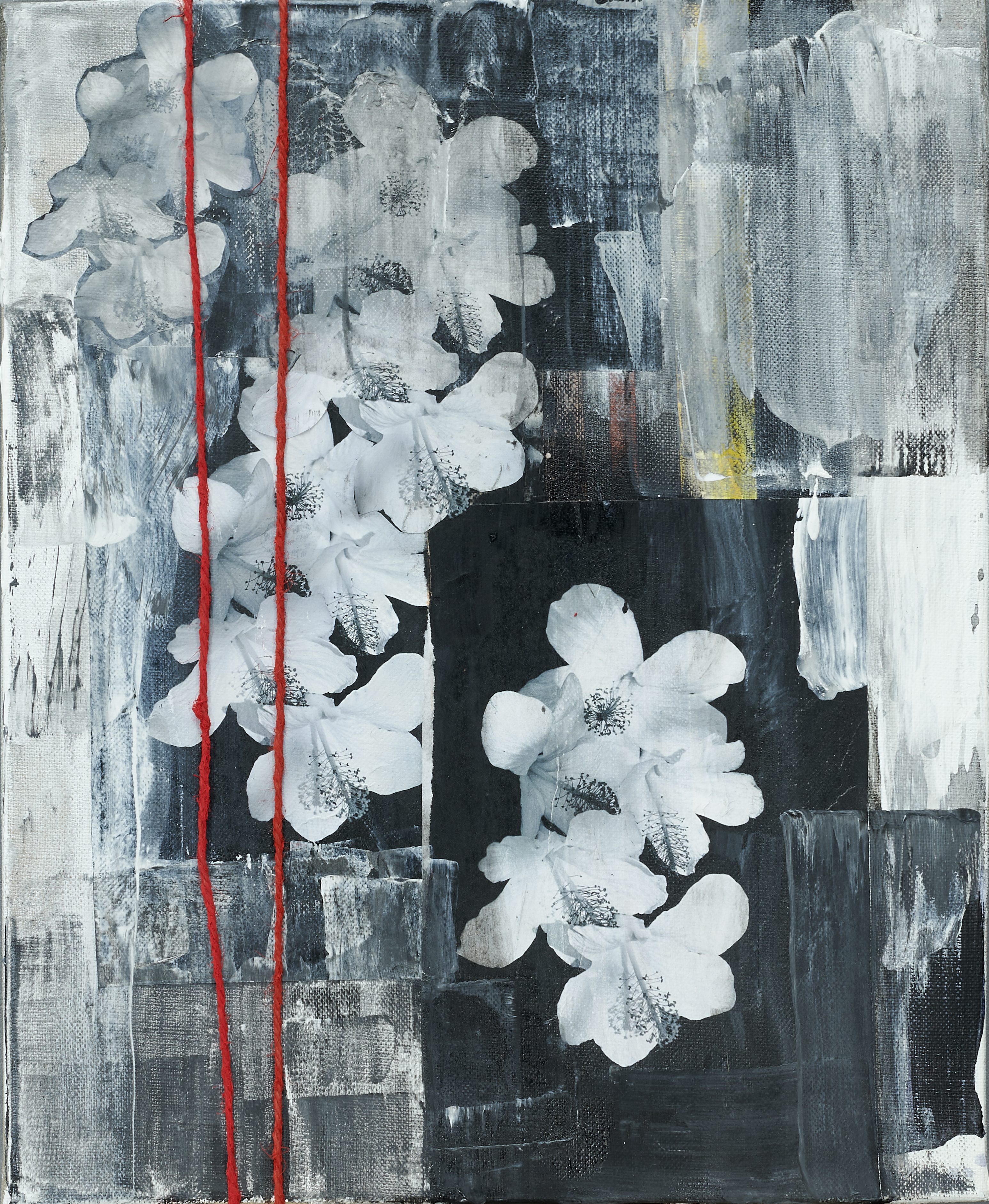 Ho'omaluhia — Marion Heine, Olaf Heine